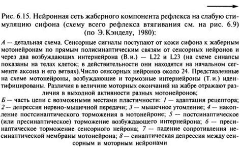 Что говорят исследования о возможности привыкания к Креону?