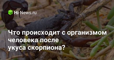 Что происходит с организмом после укуса