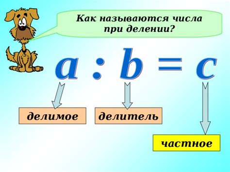 Что такое делитель?