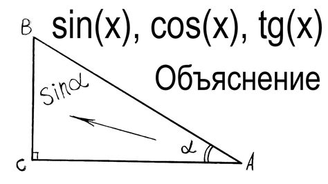 Что такое косинус угла