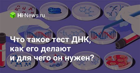 Что такое тест ДНК?