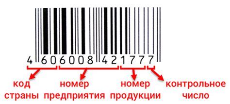 Шаги, которые стоит предпринять перед мытьем хомяка