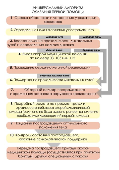 Шаг 1. Оценка симптомов и действий