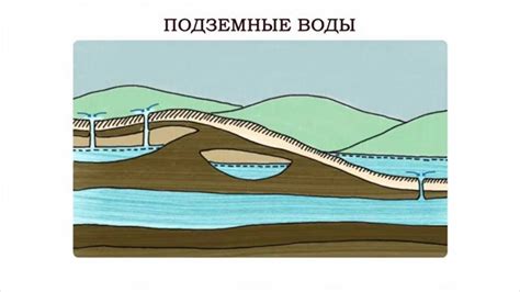 Экологическая роль подземных рыб