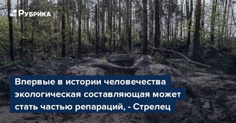 Экологическая составляющая отсева в бетоне