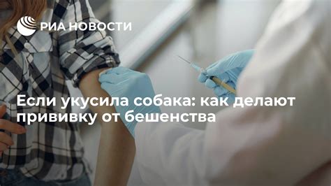 Эффективность прививки от бешенства: доказанные результаты