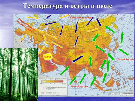  Климатические особенности