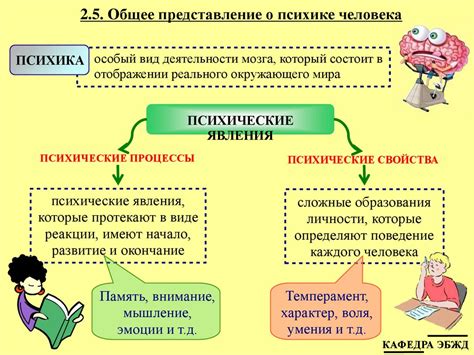  Психологические и физиологические аспекты положительного ответа 