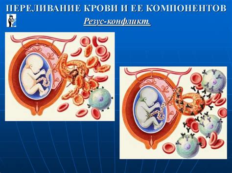 5. Возможные проблемы при переливании